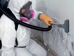 Forensic Mold Investigation in Greensburg, PA